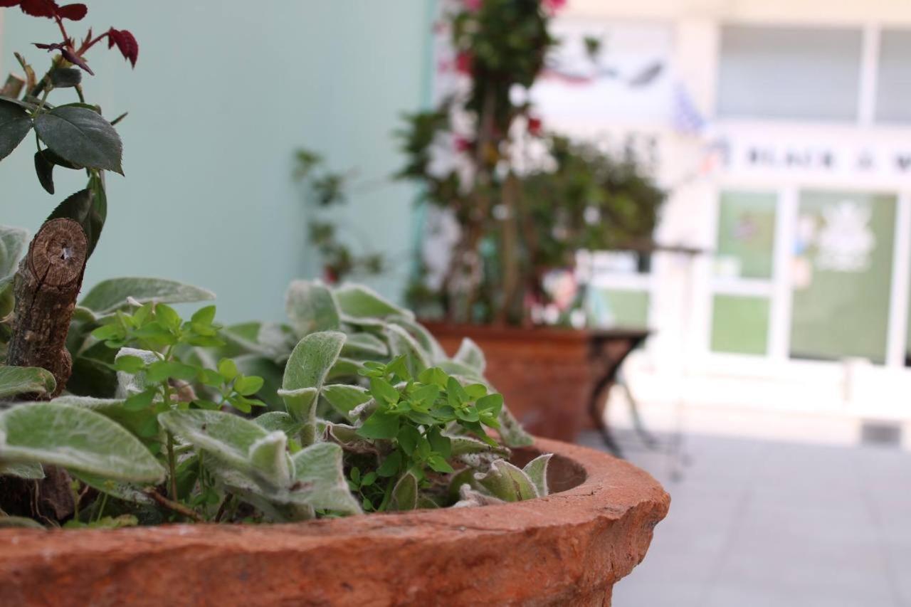Katsikantaris Homes Paphos 外观 照片